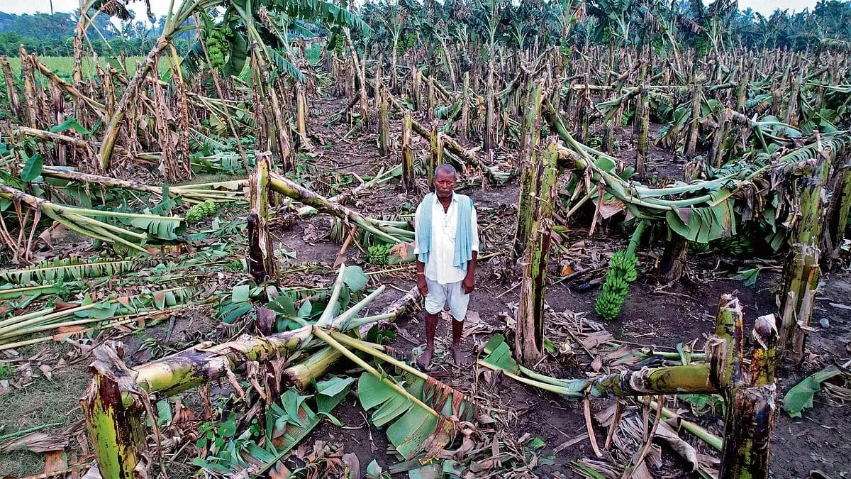 Cyclone Arnab: Chandrababu Naidu Government Announces Financial Assistance for Affected Families and Farmers in Andhra Pradesh