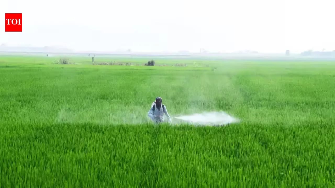 Telangana Rainfall Deficit: Farmers Face Crop Losses as Assembly Takes Up El Niño Impact Telangana Rainfall Deficit: Farmers Face Crop Losses as Assembly Takes Up El Niño Impact