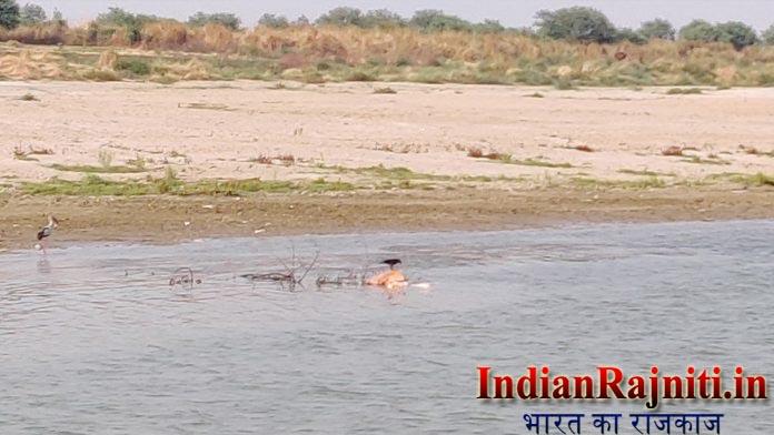 Death-bodies-floating-in-Ganga-river3 AAP & SP Parties Claim to UP CM Unable to handle Death bodies are floating in Ganga River